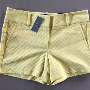 ANN TAYLOR City Short - NEW